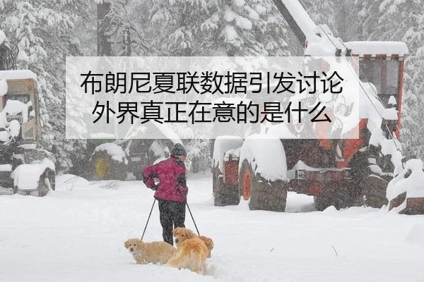 布朗尼夏联数据引发讨论 外界真正在意的是什么
